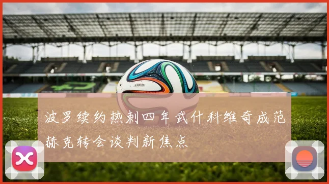 波罗续约热刺四年武什科维奇成范赫克转会谈判新焦点