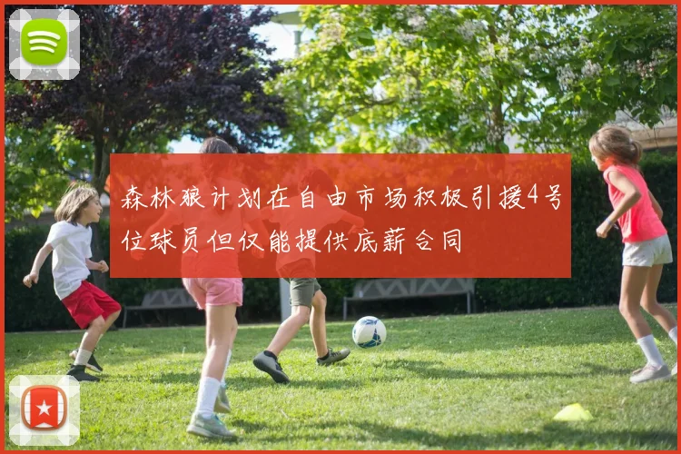 森林狼计划在自由市场积极引援4号位球员但仅能提供底薪合同